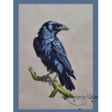 Набір для вишивання хрестиком Крук (НШ-00097)