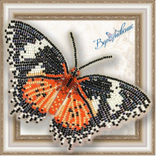 Набір для вишивання бісером АртСоло 3D Метелик «Цитозія Біблс»(BGP-001)