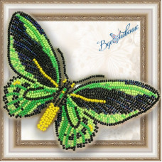 Набор для вышивки бисером АртСоло 3D Бабочка «Птицекрыл Приам»(BGP-008)