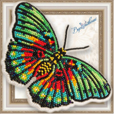 Набір для вишивання бісером АртСоло 3D Метелик "Euphaedra Edwardsi" (BGP-063)