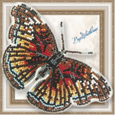 Набір для вишивання бісером АртСоло 3D Метелик «Euryphura Сhalcis»(BGP-073)