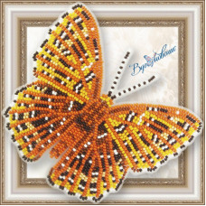 Набір для вишивання бісером АртСоло 3D Метелик «Zemeros Flegyas»(BGP-077)