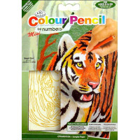 Набір для малювання олівцями за номерами Royal Тигр в джунглях (CPNMIN.104)