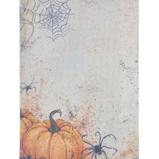 Канва Аїда 16 з фоновим малюнком Алісена, 30х40 см (КФ-1390)