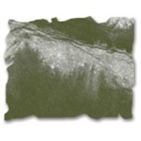 Дистресингове чорнило Ranger Distress Ink™ Pad Forest Moss (27133)