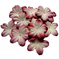 Бумажные цветы Only Красно-белые (P20-4)