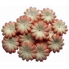 Бумажные цветы Only персиковые (P70-52)