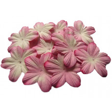 Бумажные цветы Only Розово-белые (P20-2)