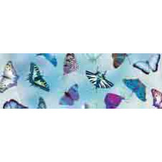 Картон URSUS блакитний Метелики, 300г. (UR-53154603R)