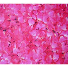 Картон Флора URSUS, Лепестки роз,300 гр. (UR-53134606R)