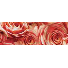 Картон Флора URSUS, троянди, 300г. (UR-53134607R)