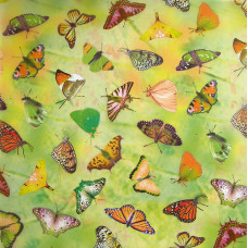 Картон URSUS желтый Бабочки, 300 г. (UR-53154601R)