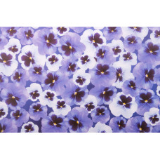 Картон URSUS Флора, анютины глазки, 300г. (UR-53134612R)
