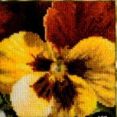 Набор для вышивания Thea Gouverneur Красно-желтая анютка (462)