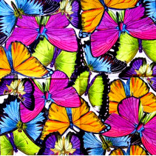 Салфетка Idea Home Range Великолепные бабочки (587)