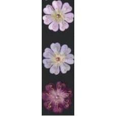 Цветы-Брадсы Prima с эмбоссингом и позолотой - Belle Fleur - Gold Embossed (520151), эконом-пакет