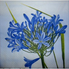 Серветка Idea Home Range Весняна блакитна квітка (1164)