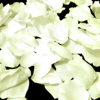 Пелюстки троянд, блідо-лимонні Only (17025)