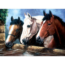 Набір для малювання за номерами Royal Brush Троє конів (PJL23)