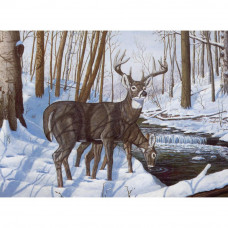 Набір для малювання за номерами Royal Brush Зимове блаженство (PAL 43)
