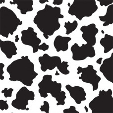 Картон односторонний Black & White Cow, 30х30см (12-CCP-2726)