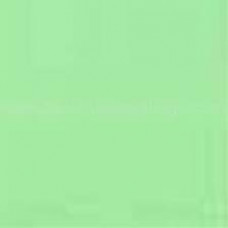 Холодная эмаль для бижутерии и полимерной глины, Бело-зеленый или RAL 6019 (011)