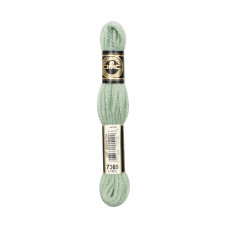 Нитки DMC Tapestry & Embroidery Wool Light Spruce Green (4867369)