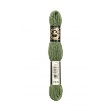 Нитки DMC Tapestry & Embroidery Wool Medium Fern Green ( 4867376)