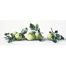 Набір для вишивання хрестиком Luca-S Натюрморт з яблуками (B2259)