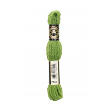 Нитки DMC Tapestry & Embroidery Wool Dark Celery Green (4867769)