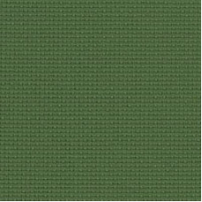 Канва для вишивки Чарівна мить К6 зелена (К6зел)