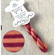 Муліне ручного забарвлення Tela Artis 884 Кленовий лист