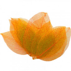 Скелетоване листя Only помаранчеві, 20 шт (593425)