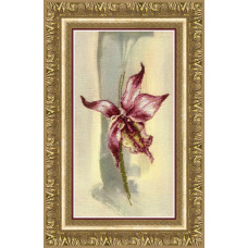 Набір для вишивання хрестиком Чарівна мить Лілова орхідея (РК-111)