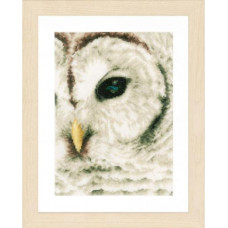 Набір для вишивання хрестиком LanArte Снігова сова (PN-0163781)